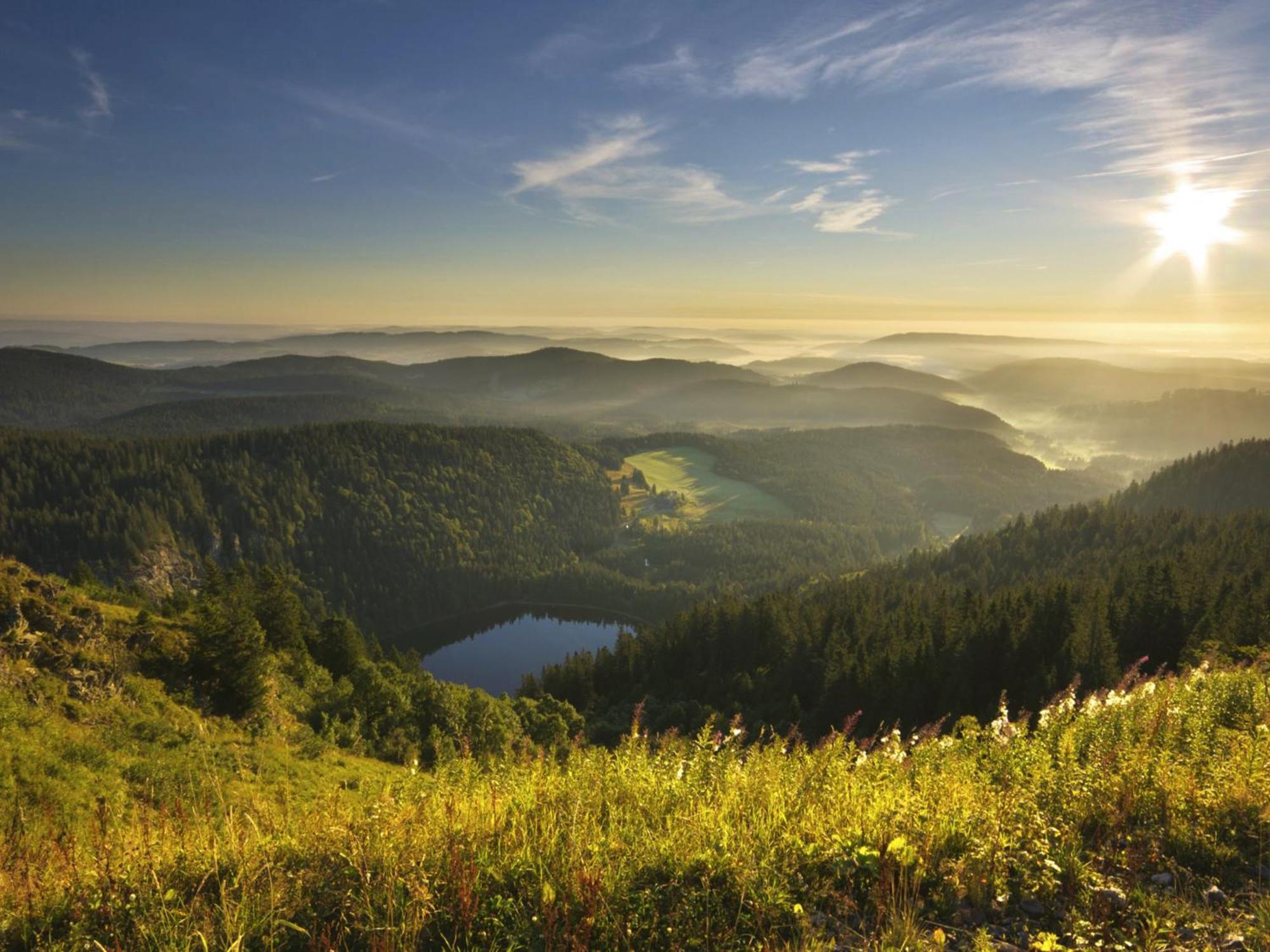 Black Forest Luxury Apartment Baerenhoehle Mit Sauna 슈룩흐제 외부 사진