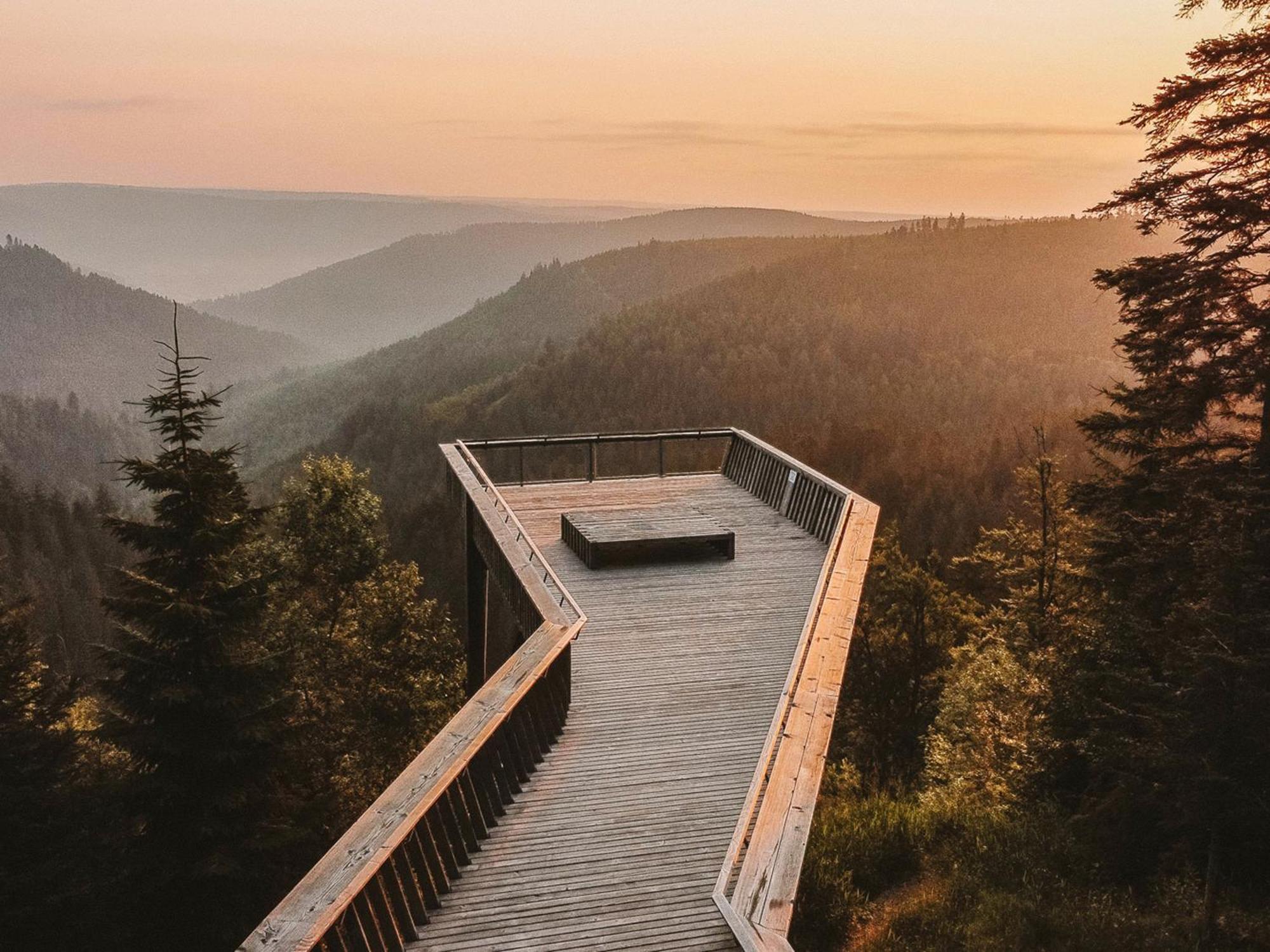 Black Forest Luxury Apartment Baerenhoehle Mit Sauna 슈룩흐제 외부 사진